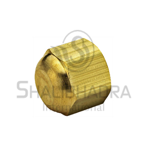 Brass Flare Dead Nut Manufacturer in Munger