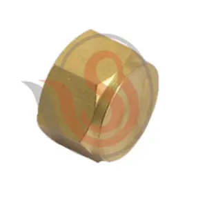 Hex Dead Nut (BSP) Manufacturer in Madhya Pradesh