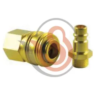 Quick Release Coupling Manufacturer in Danapur